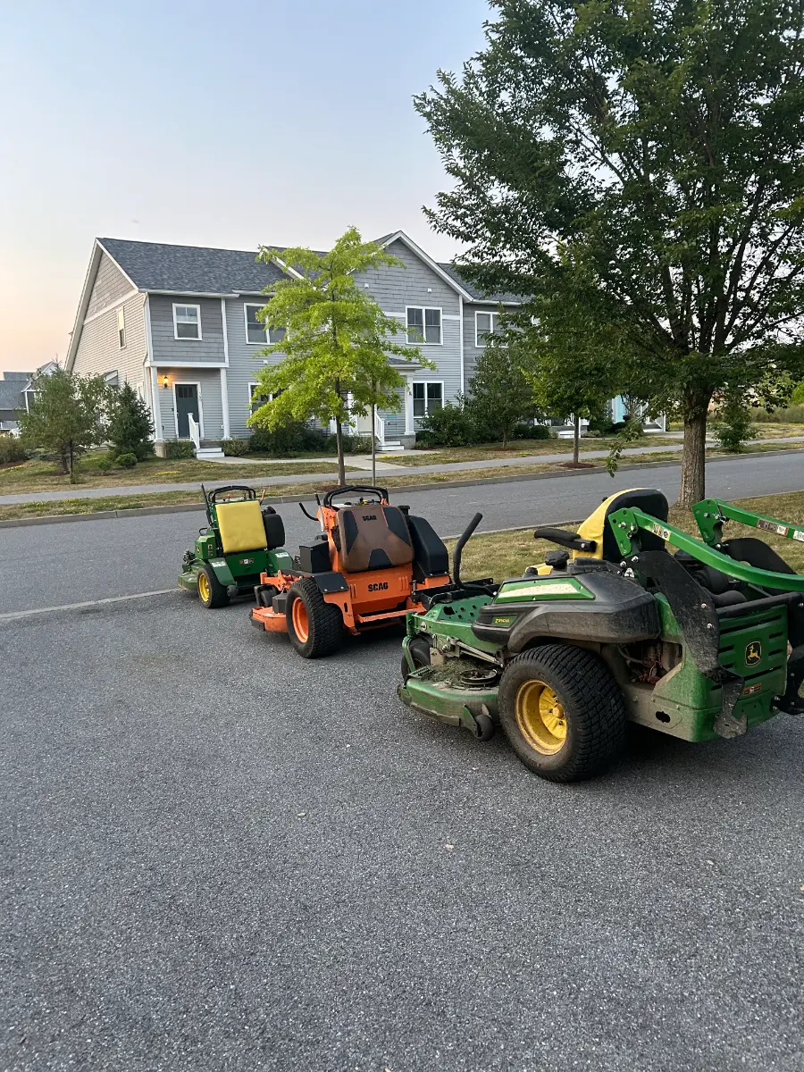 garden bed maintenance