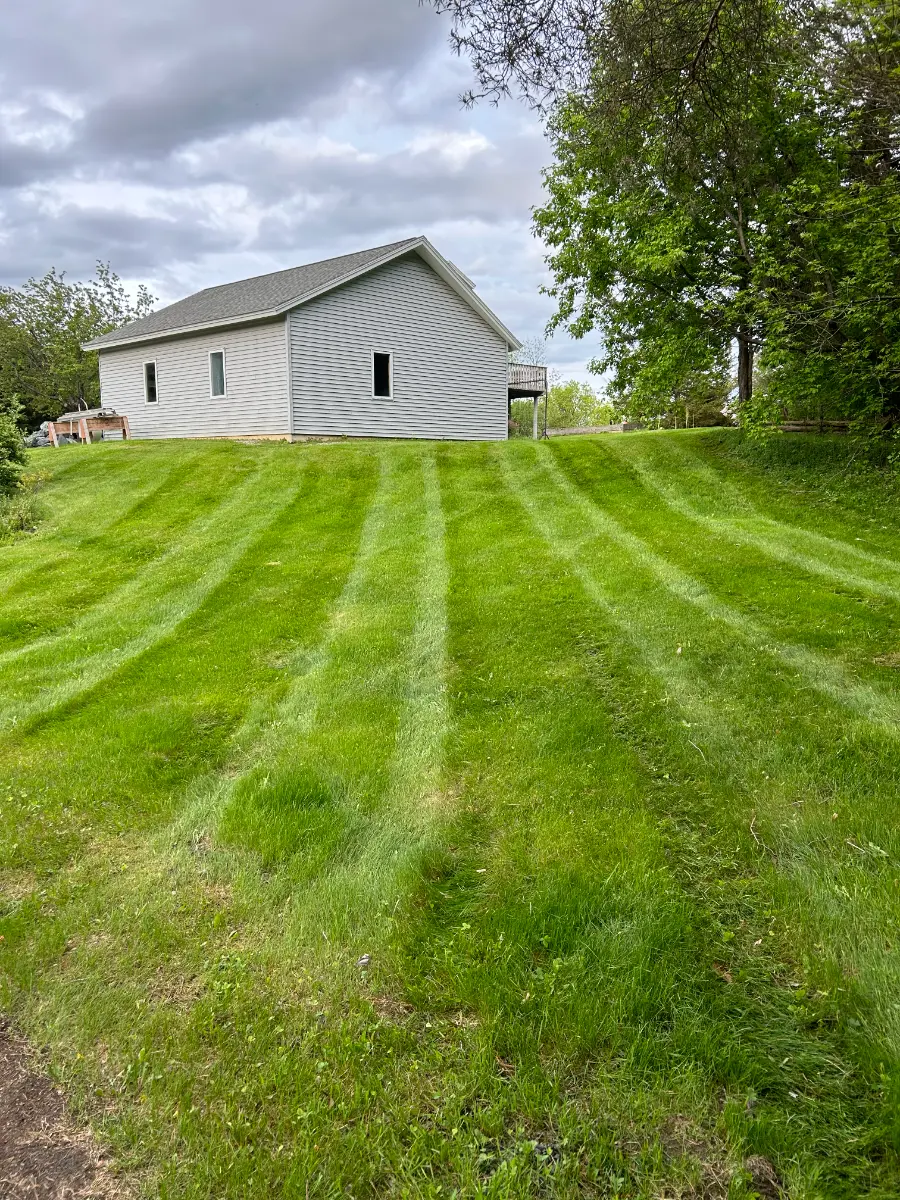 professional garden care