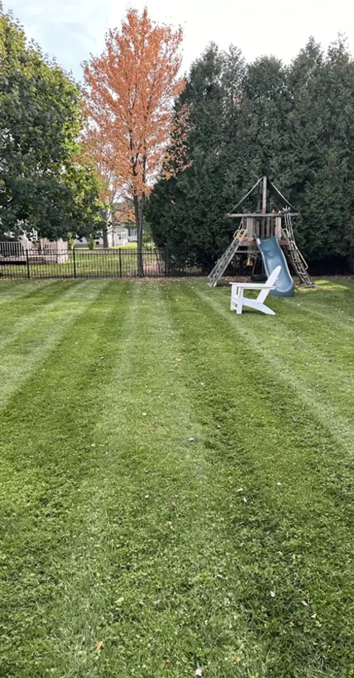 Butler Yard Care team at work