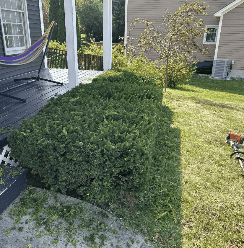 Garden bed maintenance