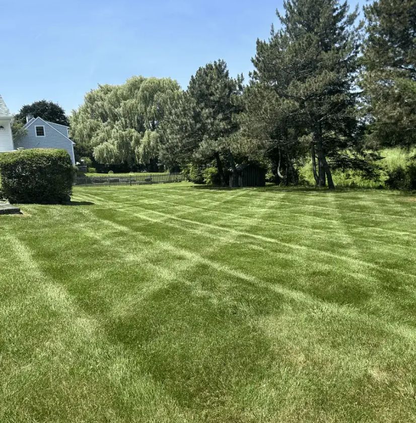 Weekly lawn mowing service