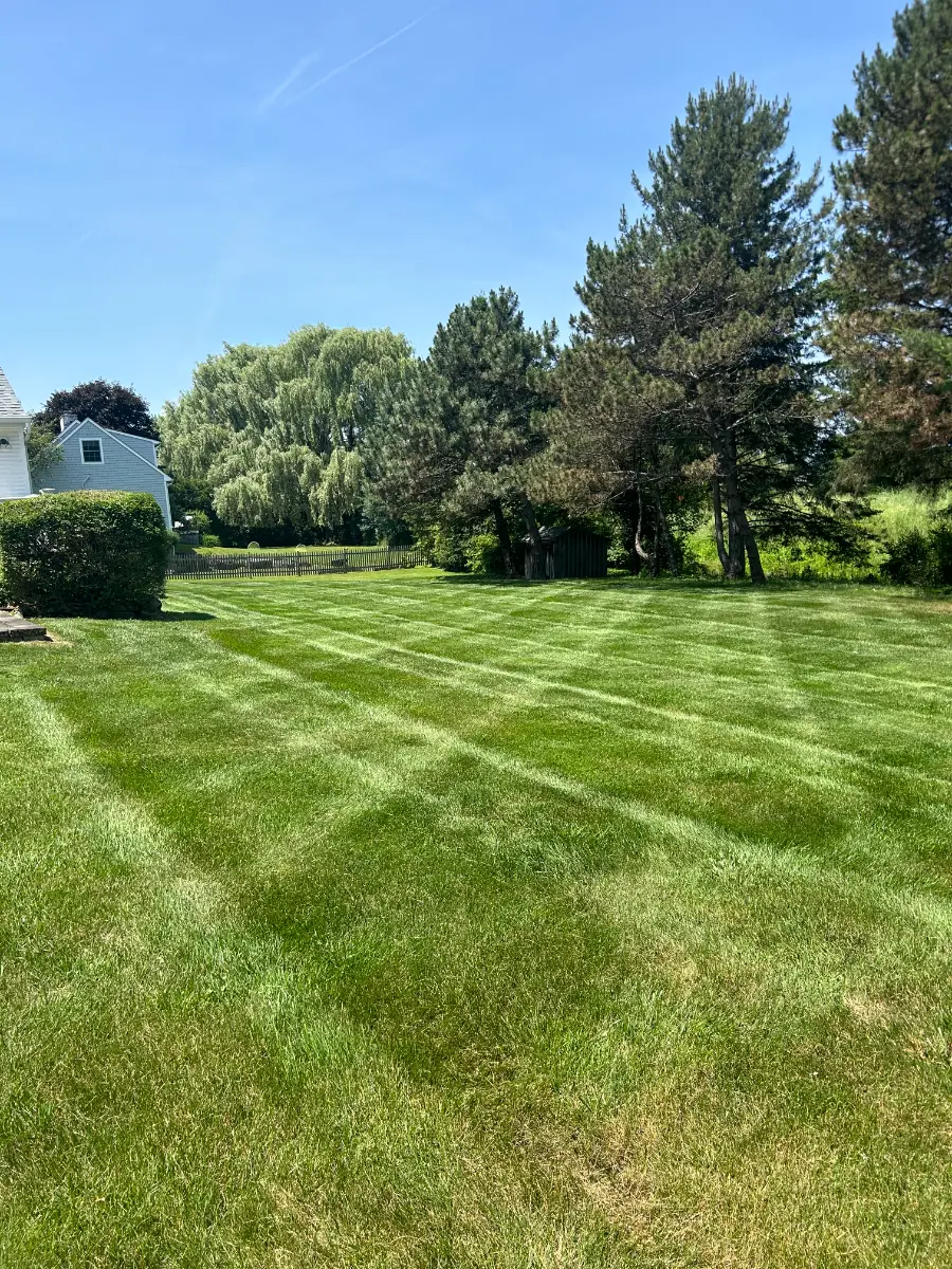 lawn mowing service