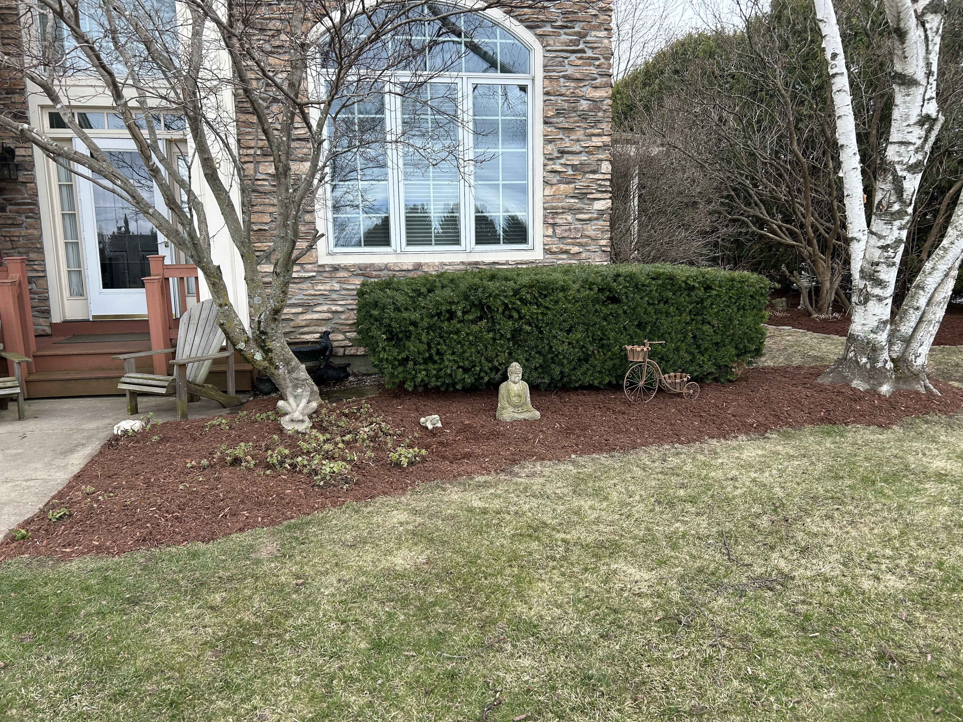 Hedge and Shrub Trimming